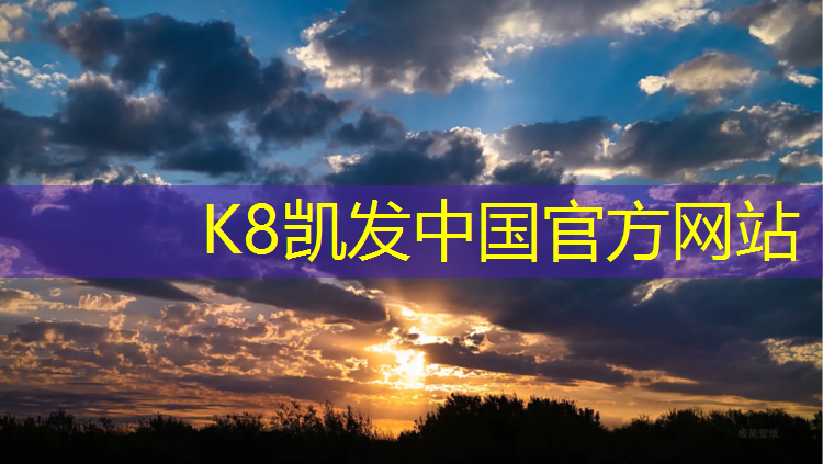 K8凯发：洛阳塑胶跑道面层